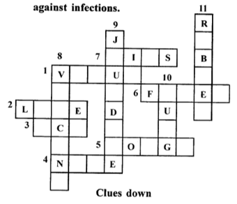 Selina ICSE Class 8 Biology Solutions Chapter 8 Diseases and First Aid