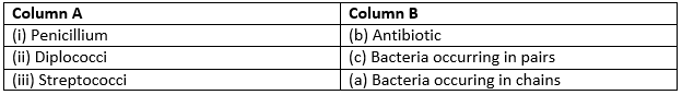 Selina ICSE Class 9 Biology Solutions Chapter 9 Economic Importance Of Bacteria And Fungi