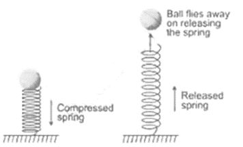 Selina ICSE Class 10 Physics Solutions Chapter 2 Work Force And Energy